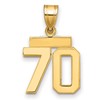 14k Small Polished Number 70 Charm