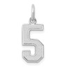 14kw Medium Satin Number 5 Charm