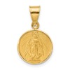 14k Polished and Satin Solid Miraculous Medal Plain Back Pendant