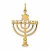 14K 3-D Menorah and Star of David Charm
