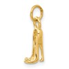 14K 3-D High Heel Stiletto Shoe Charm