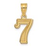 14k Polished Etched Number 7 Pendant