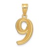 14k Polished Etched Number 9 Pendant