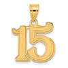 14k Polished Etched Number 15 Pendant