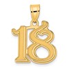 14k Polished Etched Number 18 Pendant