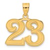 14k Polished Etched Number 23 Pendant