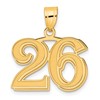 14k Polished Etched Number 26 Pendant