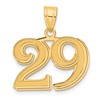 14k Polished Etched Number 29 Pendant