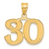 14k Polished Etched Number 30 Pendant
