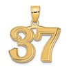 14k Polished Etched Number 37 Pendant