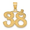 14k Polished Etched Number 38 Pendant