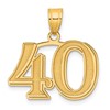 14k Polished Etched Number 40 Pendant
