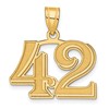 14k Polished Etched Number 42 Pendant