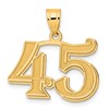 14k Polished Etched Number 45 Pendant