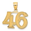 14k Polished Etched Number 46 Pendant