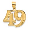 14k Polished Etched Number 49 Pendant