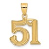 14k Polished Etched Number 51 Pendant