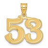 14k Polished Etched Number 53 Pendant
