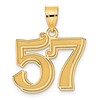 14k Polished Etched Number 57 Pendant