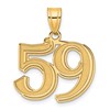 14k Polished Etched Number 59 Pendant