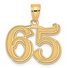 14k Polished Etched Number 65 Pendant