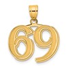 14k Polished Etched Number 69 Pendant
