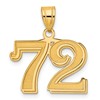 14k Polished Etched Number 72 Pendant