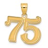 14k Polished Etched Number 75 Pendant