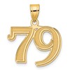 14k Polished Etched Number 79 Pendant