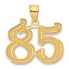 14k Polished Etched Number 85 Pendant