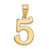 14k Polished Number 5 Pendant