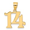 14k Polished Number 14 Pendant