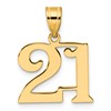 14k Polished Number 21 Pendant