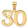 14k Polished Number 30 Pendant