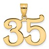14k Polished Number 35 Pendant