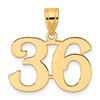 14k Polished Number 36 Pendant