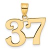 14k Polished Number 37 Pendant