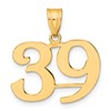 14k Polished Number 39 Pendant
