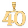 14k Polished Number 40 Pendant