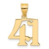 14k Polished Number 41 Pendant
