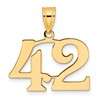 14k Polished Number 42 Pendant