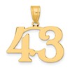 14k Polished Number 43 Pendant