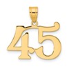 14k Polished Number 45 Pendant