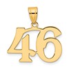14k Polished Number 46 Pendant