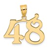 14k Polished Number 48 Pendant