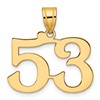 14k Polished Number 53 Pendant