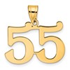 14k Polished Number 55 Pendant