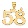 14k Polished Number 58 Pendant