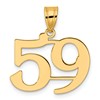 14k Polished Number 59 Pendant