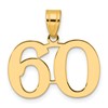 14k Polished Number 60 Pendant